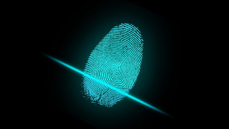 Forensic IT and the Law