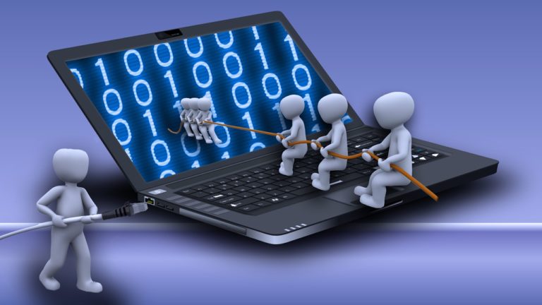 Business Critical Software: Own or License?