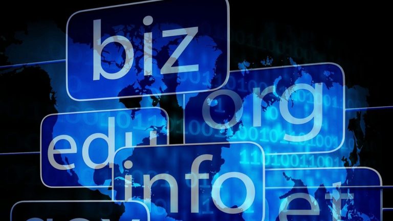 Estimated costs of resolving domain disputes, Is your domain name being registered in China