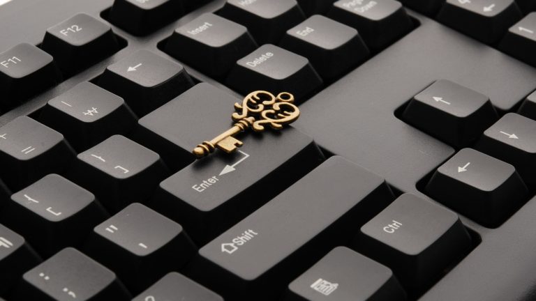 domain name owner