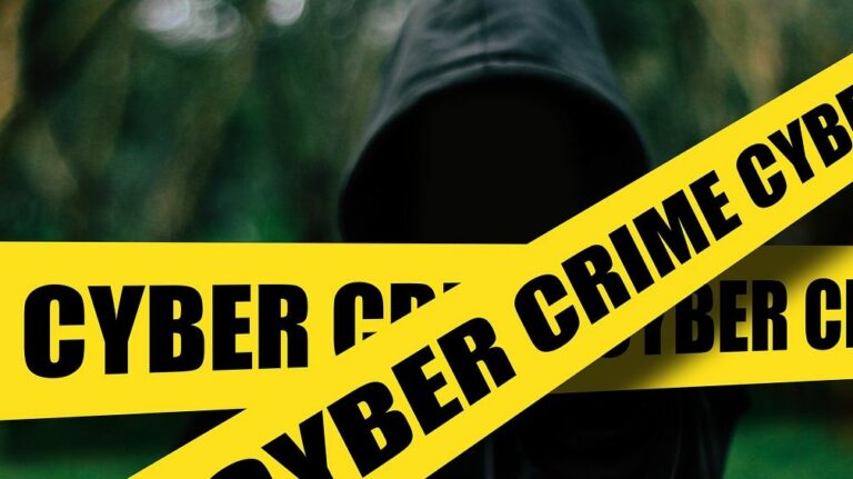 Overview of the Cybercrimes Bill, cyber bill, cybercrime bill or cybercrime act, commencement, S v Phungula