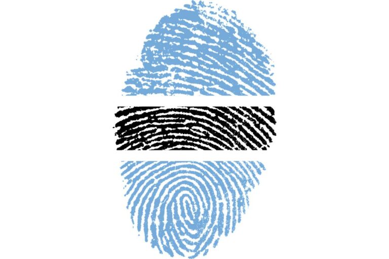Botswana thumbprint flag, Botswana Data Protection Act
