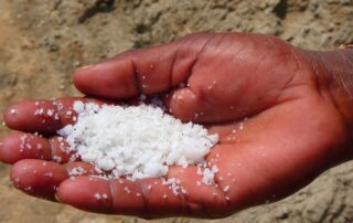 Swartkops Sea Salt enforcement action