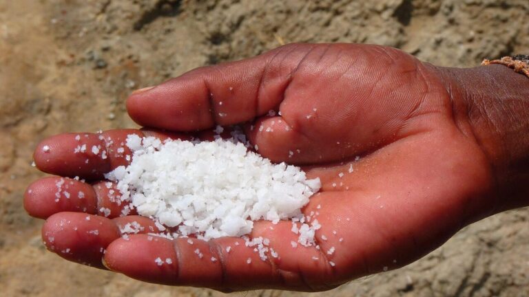 Swartkops Sea Salt enforcement action